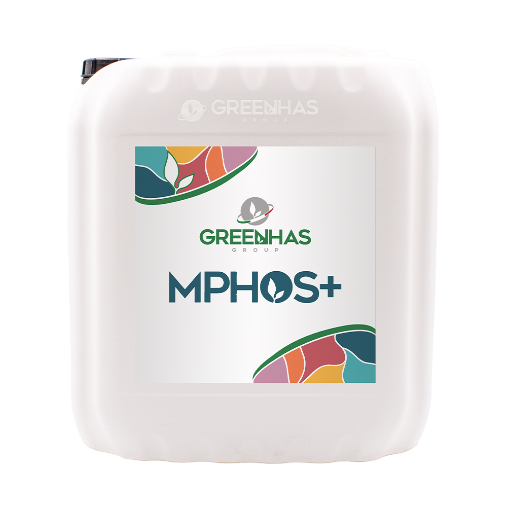 MPHOS+